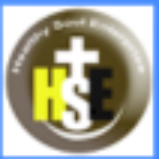 Logo&nbsp;Healthy Soul Enterpise